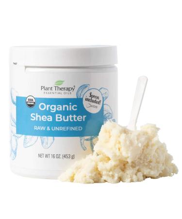 Plant Therapy Organic African Shea Butter Raw, Unrefined USDA Certified 16 oz Jar For Body, Face & Hair 100% Pure, Natural Moisturizer For Dry, Cracked Skin, Best for DIY Beauty Products Like Lotion, Cream, Lip Balm and Soap
