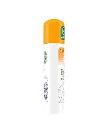 ARM & HAMMER Essentials Unscented Deodorant | Natural Deodorizers | Aluminum, Parabens & Phthalates Free | 2.5 Oz - Buy Online on GoSupps.com
