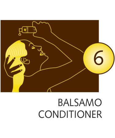  Sanotint SANOTINT Classic Hair Color 14 Dark Blonde 2 boxes 2 x 125 ml - Buy Online on GoSupps.com