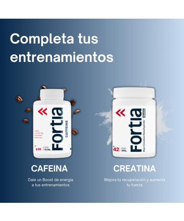  FORTIA INERSIS Fortia Whey Protein + Shaker Included | Easy Digestion | Protein to Gain Muscle Mass | Milk Whey Protein | Premium Whey Protein | Chocolate Protein 1.8kg - Buy Online on GoSupps.com