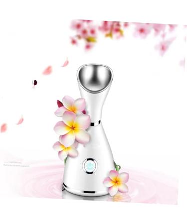 Nano Mist Sprayer Beauty Steaming Face Instrument Facial Household Cleaning Instrument - Buy Online on GoSupps.com