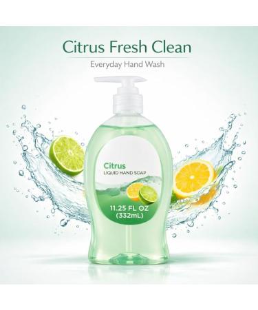 Citrus Scent Liquid Hand Soap for Everyday Hand Washing Smooth Hand Wash for Home Kitchen or Bathroom Use Pump Bottle 11.25 fl oz - Buy Online on GoSupps.com