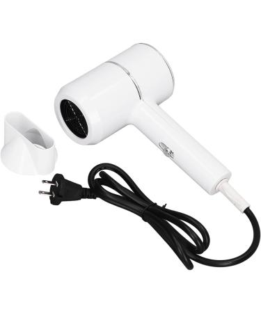 Portable Hair Dryer US Plug 110V Portable Hair Blower Negative Ion for Home - Buy Online on GoSupps.com