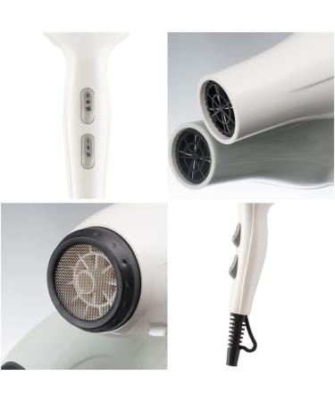 2000W Salon Hair Dryer Professional Negative Ion Blow Dryers Radiation Free Low Noise 2 Speed 3 Heat Settings Constant Temperature Hair Care for Hair Salon and Family Small Gift - Buy Online on GoSupps.com