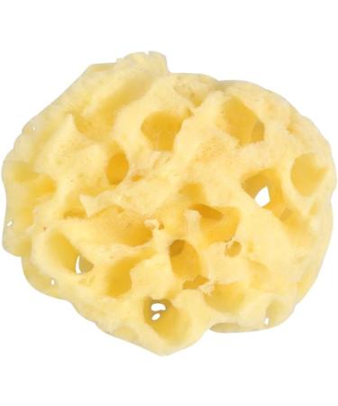 Buy Housoutil 3 Pcs Exfoliating Face Sponges - Honeycomb & Seaweed Bath Sponges for Men | International Shipping Available - Buy Online on GoSupps.com