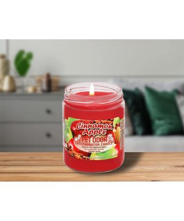 Pet Odor Exterminator Cinnamon Apple Candle - 13 oz (Pack of 2) | Eliminates Pet Odors | Long-Lasting Scent - Buy Online on GoSupps.com