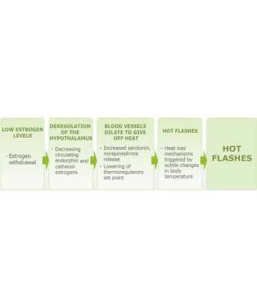YouFit Nutrition Menopause Relief Capsules for Women - Natural Day and Night Support for Hot Flashes, Stress & Night Sweats - 30 Servings - Buy Online on GoSupps.com