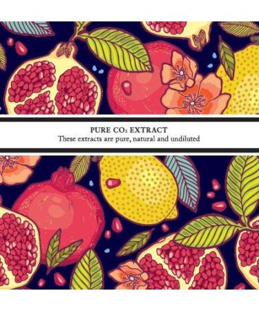 Buy Absolute Aromas Sea Buckthorn Oil CO2 Total Extract 30ml - Organic Skin Care & Health Benefits - International Shipping Available - Buy Online on GoSupps.com