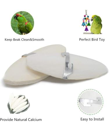Jmxu 4pcs Cuttlebone with Metal Holder for Birds | Natural Bird Calcium 4.5-5.5 - Buy Online on GoSupps.com