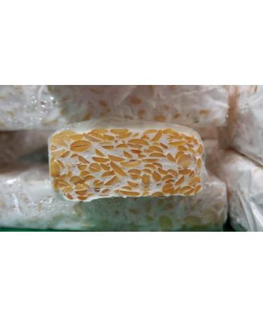 Buy Tempeh Starter Set - 1KG Peeled Soybeans (Rhizopus Oligosporus) - Make Up to 75KG of Homemade Tempeh - Worldwide Shipping - Buy Online on GoSupps.com