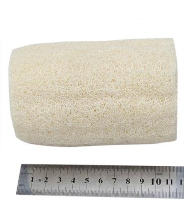 Natural Loofah Sponge - Eco-Friendly Bath & Shower Sponge in Ivory | Exfoliating & Sustainable Cleaning Tool - Buy Online on GoSupps.com