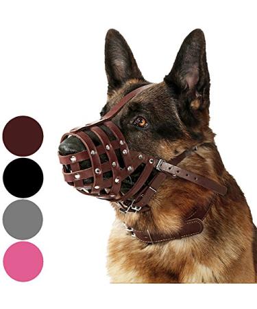 Collardirect muzzle for dogs German Shepherd Dalmatian Doberman Setter Leather basket medium -sized for large breeds black brown (M chestnut brown) medium (1 piece) chestnut brown