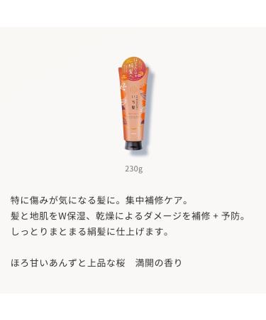  Ichikami Ichikami Dense W Moisturizing Rinse Treatment 230 g - Buy Online on GoSupps.com