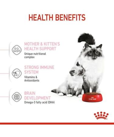 Royal Canin Dry Cat Food Mother & Baby 34 Complete Food 400 g 400 g (Pack of 1) - Buy Online on GoSupps.com