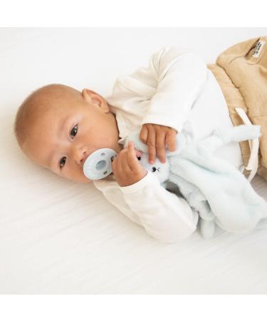 Bella Tunno Bubbi Buddy Dog Lovey Pacifier Holder for Teething Babies - Soft Plush Comforter - Buy Online on GoSupps.com