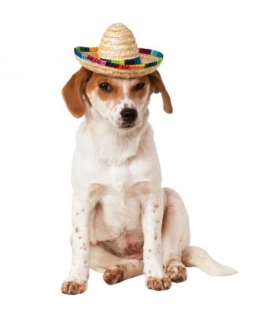 Rubie's Official Sombrero Pet Dog Costume Small/Medium - Buy Online on GoSupps.com
