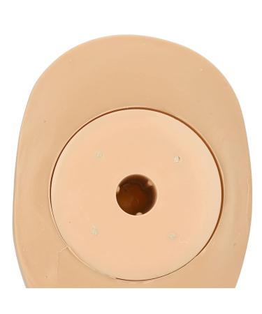 Exercise Head for Eyelash Extension Training | Silicone Training Head with 4 Interchangeable Eyes | Enhance Your Skills - Buy Online on GoSupps.com