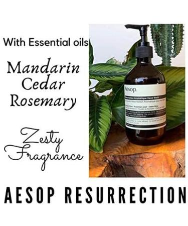 Aesop Reverence and Resurrection Aromatique Handwash Duo Set - 500ml, Essential Botanical Extracts, Bergamot Mandarin Rind, Gentle Exfoliating Gel for Refreshed Skin - Buy Online on GoSupps.com