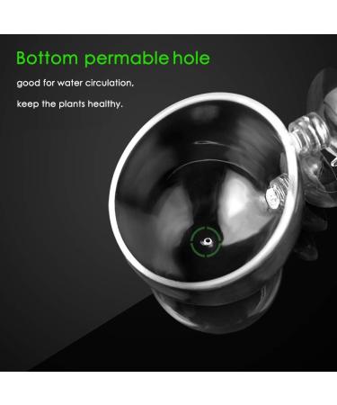 Capetsma Aquarium Plant Pot Glass - 1 Pack with 2 Suction Cups for Stunning Fish Tank Decoration - International Shipping Available - Buy Online on GoSupps.com