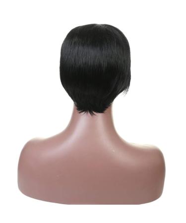 SHIYID Short Synthetic Hair Extension Wig for Women | High Temperature Fiber Fashion Wig - Buy Online on GoSupps.com