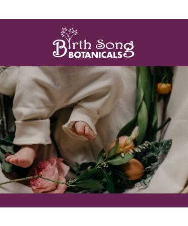 Birth Song Botanicals Elderberry Complex Tincture Respiratory and Immune Support Herbal Supplement 1 oz - Buy Online on GoSupps.com