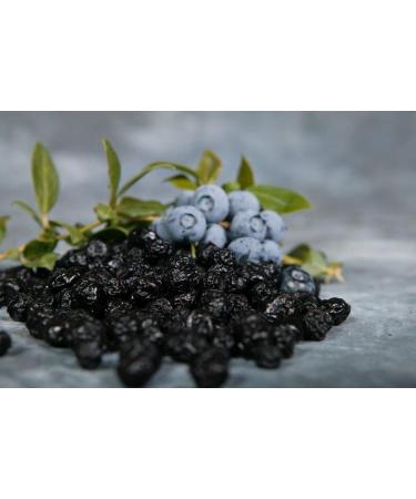 Stoneridge Orchards Organic Blueberries 4 oz - Premium Quality Dried Blueberries - Buy Online on GoSupps.com