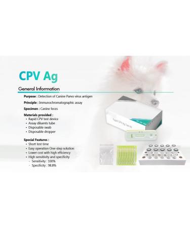 Yanzeo 10 Tests Canine Parvovirus Test Kit - CPV Rapid Home Test for Dogs | Veterinary Clinics | 10-Pack - Buy Online on GoSupps.com