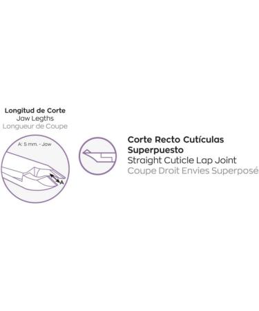 Professional Manicure Pedicure Set 3 Pieces Nail Scissors Nail File Tweezers Cuticle Scissors Kit (Polish Silver) - Buy Online on GoSupps.com