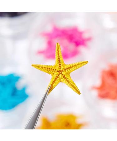 Ocean Nail Art Rhinestones: 2 Boxes Sea Charm 3D Beach Design Accessories for DIY Manicure - Seashell Nail Decoration for Women & Girls - Buy Online on GoSupps.com
