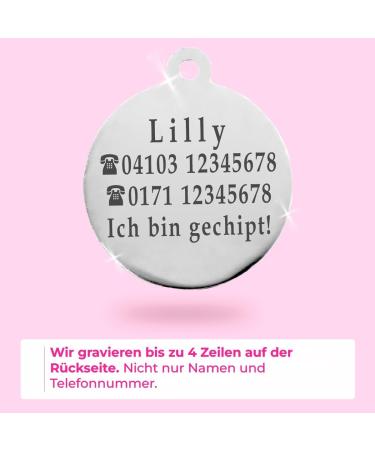 Personalized Ibera Cat Necklace for Medium to Large Cats - Engraved Collar & Address Tag - Round Shape - Pink - Buy Online on GoSupps.com
