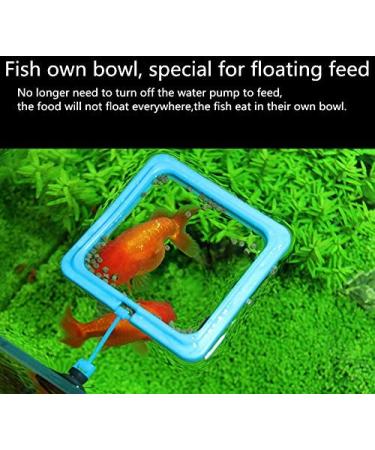 Fish Feeding Ring - Blue Floating Food Feeder with Suction Cup for Aquarium - Ideal for Guppy, Betta, Goldfish - Square and Round Shape Fish Tank Towels - Buy Online on GoSupps.com