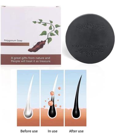 100g Shampooing Fallopia Multiflora pour cheveux noirs et pais Shampooing pour cheveux fonc s Shampooing biologique pour cheveux gris invers s (1Pcs) - Buy Online on GoSupps.com