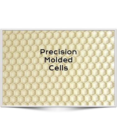 Acorn Bee 10ct Medium White Plastic Beeswax Foundation - Made in USA - Buy Online on GoSupps.com