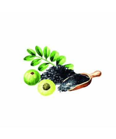 Khadi Deep Charcoal Cleanse Ayurvedic Hair Mask - Amla Activated Carbon 100% Vegan & Natural - Deep Cleaning for Residue-Free Hair (50g) - Buy Online on GoSupps.com