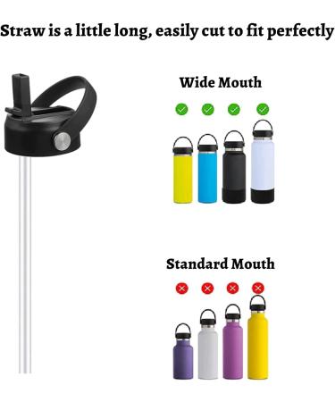 Hydro Energy 8-Pack Replacement Straws for Wide Mouth Hydro Flask Water Bottle (9.5 Inch) - Buy Online on GoSupps.com