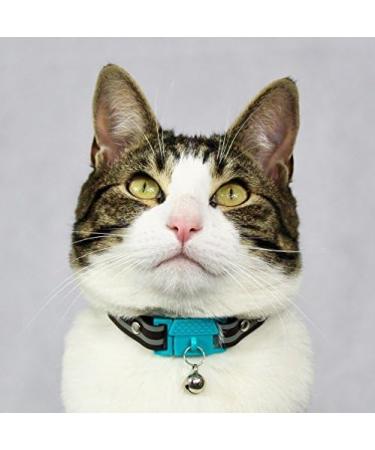 Kittyrama Cat & Kitten Neck Bands | As Seen in Vogue | Vet Approved Breakaway Hypoallergenic | Explore Stylish Havana & More - Buy Online on GoSupps.com
