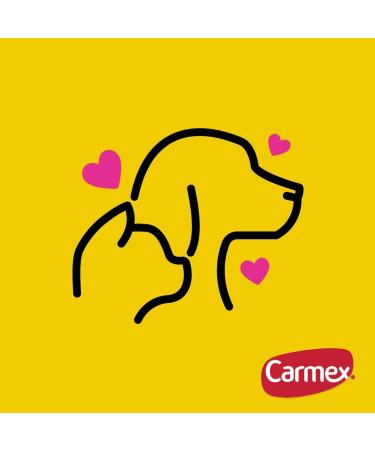 Carmex Lip Balm Stick SPF15 Classic 4.25g - Pack of 1 | Moisturizing Lip Care - Buy Online on GoSupps.com