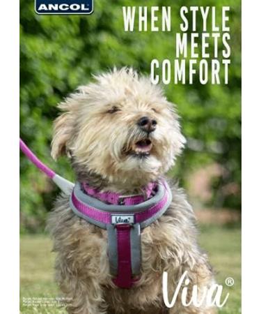 Ancol Viva Purple Padded Harness - Size Small (36-42cm) - Buy Online on GoSupps.com