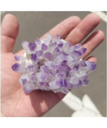 Natural Crystal Rough Crystal Natural Purple Ghost Phantom Quartz Crystal Cluster Rock Stones and Crystals Reiki Specimen Home Deco Crystal (Size : 300-350g) - Buy Online on GoSupps.com