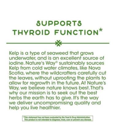 Nature's Way Kelp 180 Capsules - Pack of 2 | Rich in Iodine and Essential Minerals - Buy Online on GoSupps.com