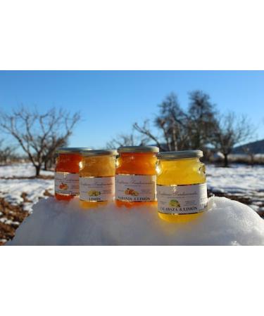 Traditional Jams | Apricot Jam - Pot 300 gr. - Buy Online on GoSupps.com