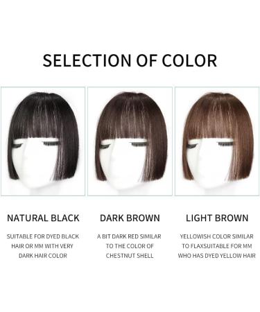 Bangs Hair Clip Clip in Hair Bangs Synthetic Hair Princess Cut Bangs Hair Piece Fringe Bangs Clip-on Quick Cosplay Bangs Hair Extensions Fake Straight Natural Fringe Hair for Women Bangs Clip in Hair Light brown - Buy Online on GoSupps.com