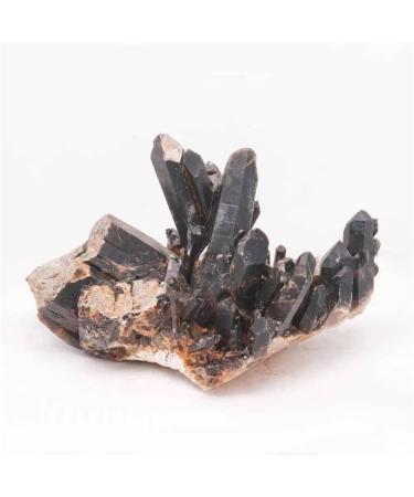 Natural Crystal Rough Natural Crystal 1pc 300g-1000g Natural Black Quartz Cluster Crystal Lucky Stone for Gift Power Stone Crystal (Color : 1pc 840g-930g) - Buy Online on GoSupps.com