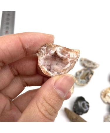 Natural Crystal 3pc Natural Brazil Crystal Geode Cluster for Stones ningxiao - Buy Online on GoSupps.com