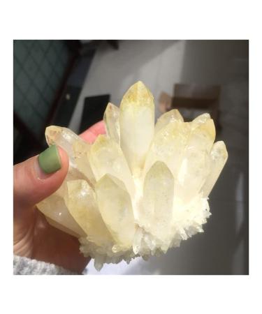 Crystal Hole Stone Crafts 1PC Natural Citrine Phantom Quartz Crystal Cluster Specimen Crystal Hole (Size : 500-550g)