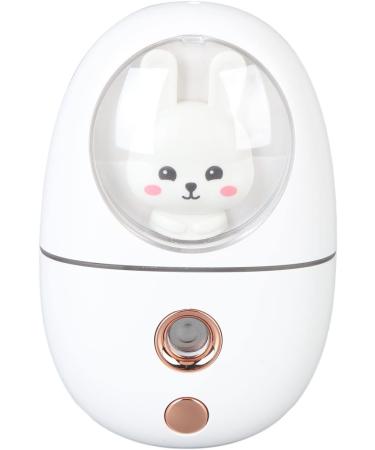 Eye Facial Humidifier USB Facial Mist Sprayer Quiet 500mah Practical Cute Animal for Travelling (White) - Buy Online on GoSupps.com
