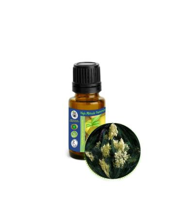 HIGH ALTITUDE NATURALS Mimosa Absolute Essential Oil (Acacia Mearnsii) - Pure & Natural Uncut Undiluted - Therapeutic Cosmetic Aromatherapy Perfumery - 15ml (1/2 oz)