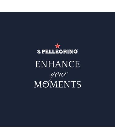 S. PELLEGRINO Sparkling Carbonated Water 24x500 mL Bottles - Buy Online on GoSupps.com