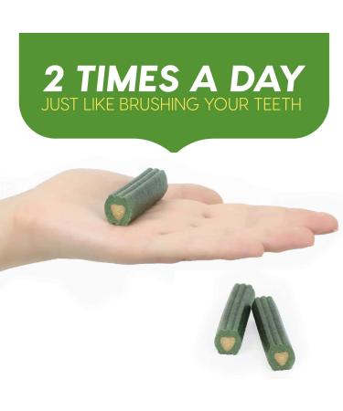 Brushless Dog Toothpaste Chews for Small Breeds - Freshens Breath & Reduces Plaque, 35oz - Buy Online on GoSupps.com
