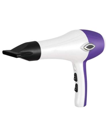 2200 Watt Powerful Professional Ionic Hair Dryer with 2-Speed and 3 Temperature Settings Cool Shot Function AC Motor Salon Fast Blow Dryers with Nozzle for Home and Salon Men and Women Purple Small